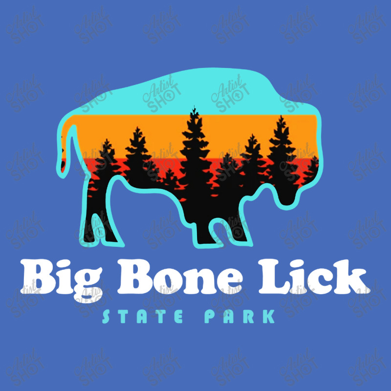 Big Bone Lick State Park Kentucky Bison Fossils Basic Youth T-shirt by Mblentot | Artistshot