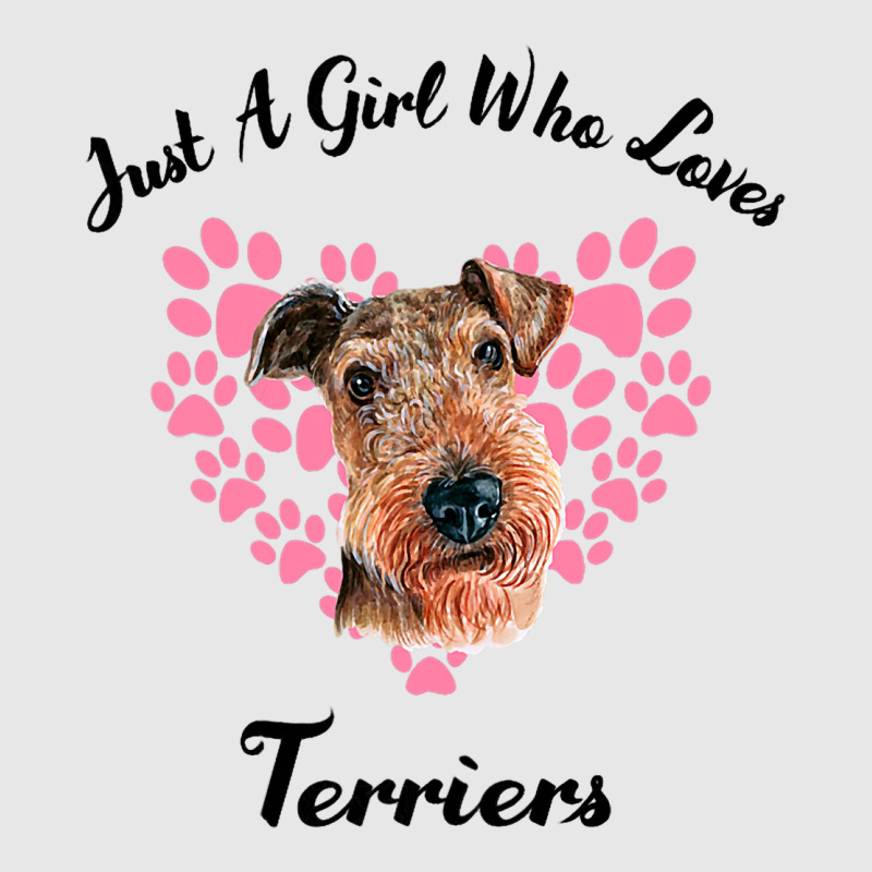 Just A Girl Who Loves Airedale Terriers Dogs Cute  Hoodie & Jogger Set | Artistshot