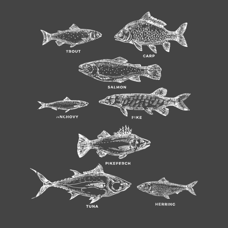 Fish Species Collection Biologist Fishkeeping Animal Fish T Shirt Basic T-shirt by bibonzgulnacqo | Artistshot