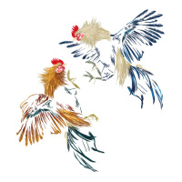 Peleas De Gallos Cockfighter Game Fowl Cockfighting Rooster T Shirt Raglan Crop Top | Artistshot