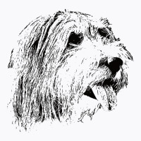 Bearded Collie Gift For Beardie Owners T-shirt | Artistshot