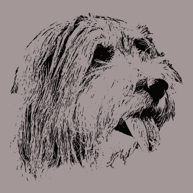 Bearded Collie Gift For Beardie Owners Vintage Short | Artistshot