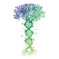 Dna Tree T  Shirt D N A Tree Of Life Genetics Colorful Biology Science Raglan Crop Top | Artistshot