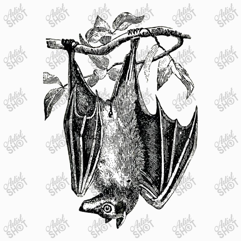 Classic Film  Fruit Bat Funny Gift Raglan Crop Top by AlisonArtists | Artistshot