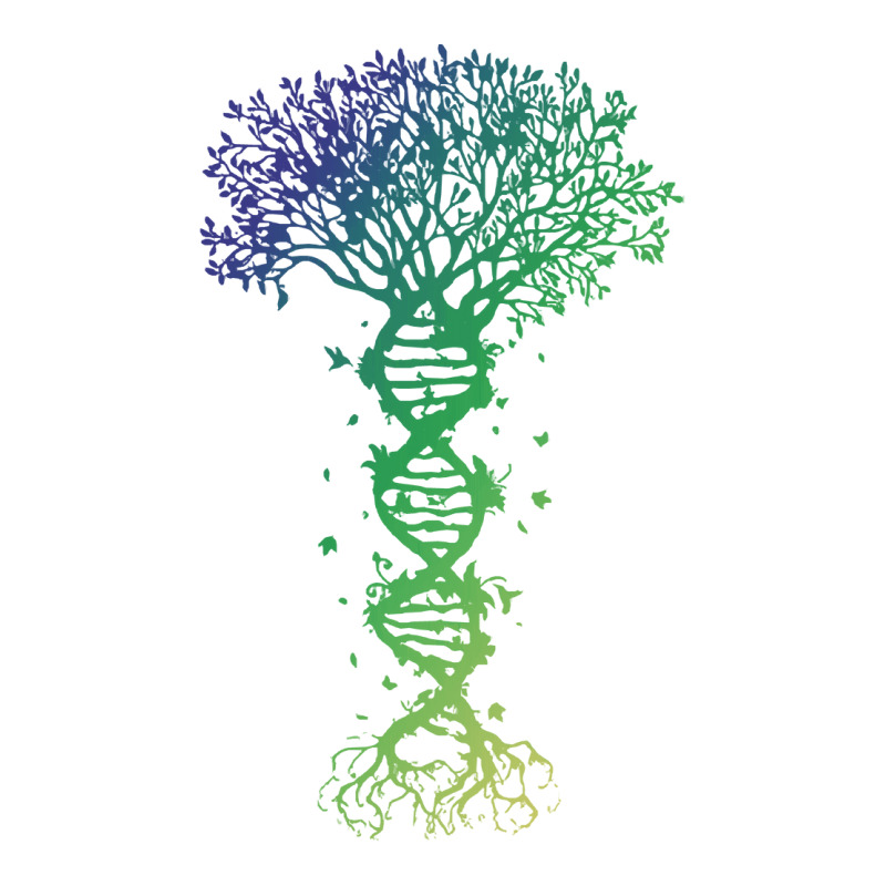 Dna Tree T  Shirt D N A Tree Of Life Genetics Colorful Biology Science Raglan Crop Top by forgetfulexisting | Artistshot