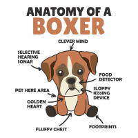 Anatomy Of A Boxer Cute Dogs Funny Dog Boxer 2 3/4 Sleeve Shirt | Artistshot