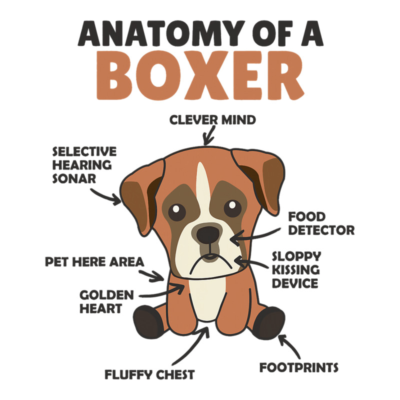 Anatomy Of A Boxer Cute Dogs Funny Dog Boxer 2 3/4 Sleeve Shirt | Artistshot