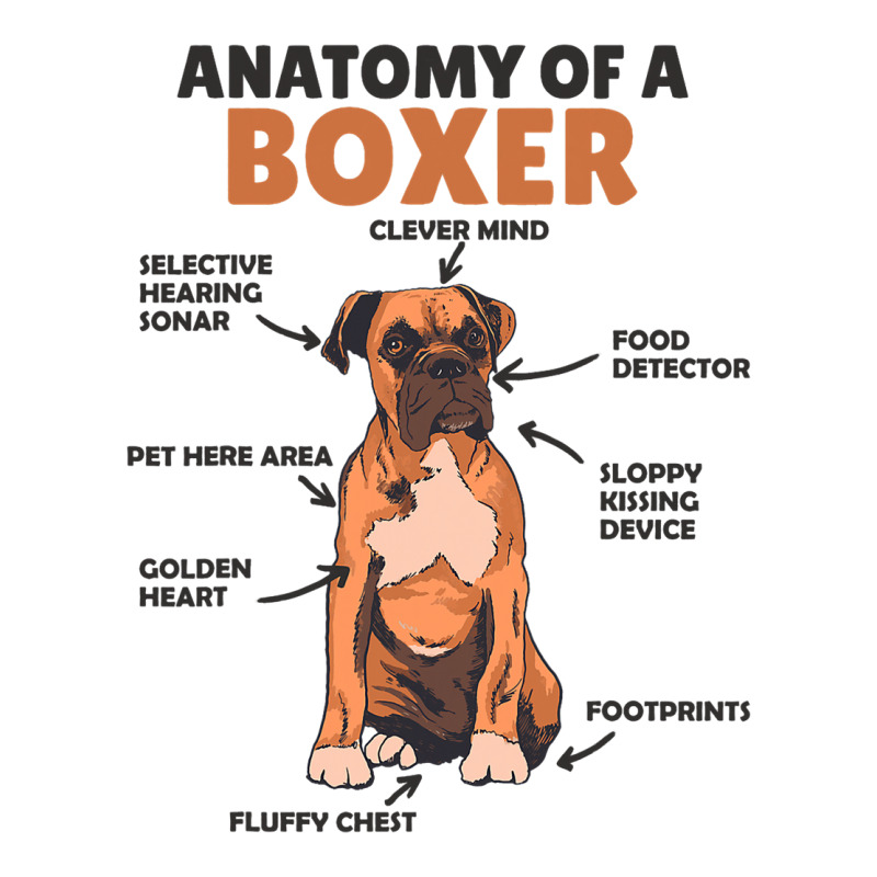 Anatomy Of A Boxer Cute Dogs Funny Dog Boxer 3 Unisex Hoodie | Artistshot