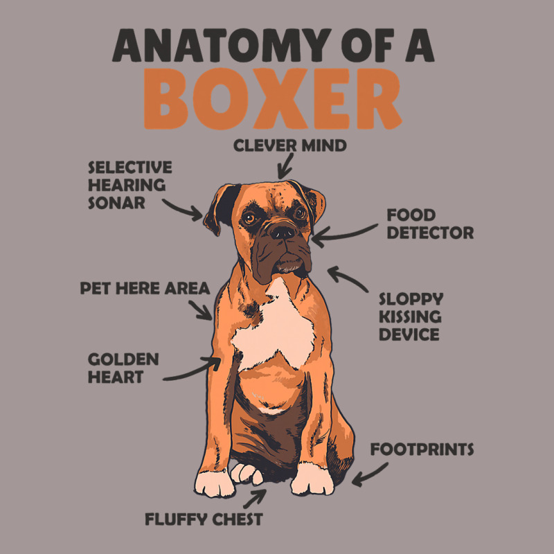 Anatomy Of A Boxer Cute Dogs Funny Dog Boxer 3 Vintage Short | Artistshot