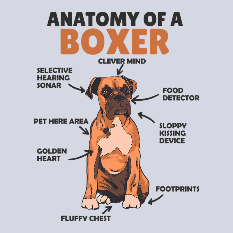 Anatomy Of A Boxer Cute Dogs Funny Dog Boxer 3 Fleece Short | Artistshot