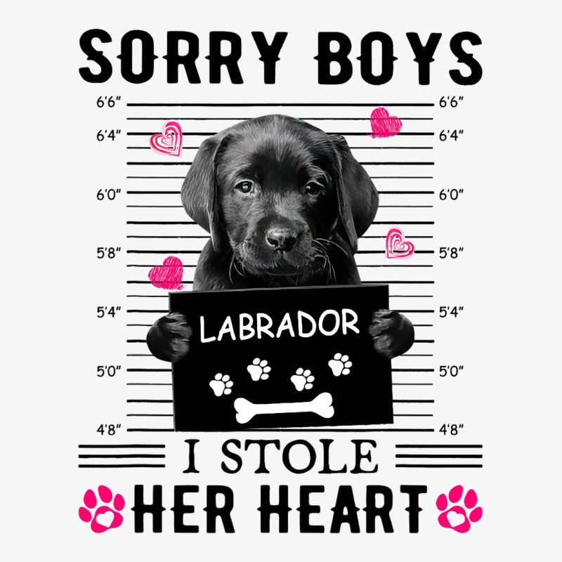 Black Labrador Pup Sorry Boys I Stole Her Heart Ladies Fitted T-Shirt by XAVIERESPREE | Artistshot