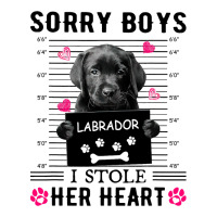 Black Labrador Pup Sorry Boys I Stole Her Heart Maternity Scoop Neck T-shirt | Artistshot