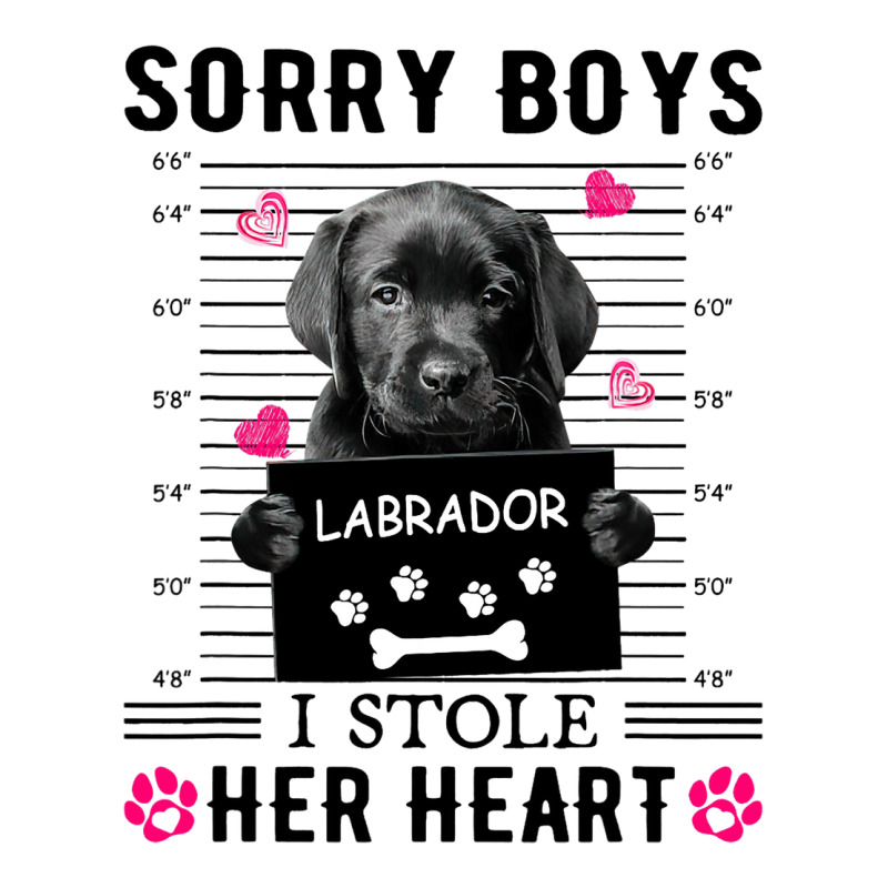 Black Labrador Pup Sorry Boys I Stole Her Heart Maternity Scoop Neck T-shirt by XAVIERESPREE | Artistshot