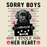 Black Labrador Pup Sorry Boys I Stole Her Heart Cropped Hoodie | Artistshot