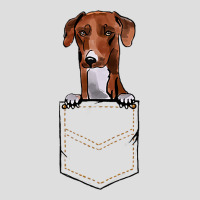 Azawakh Puppy For A Dog Owner Pet Pocket Colored Glass Tumbler | Artistshot