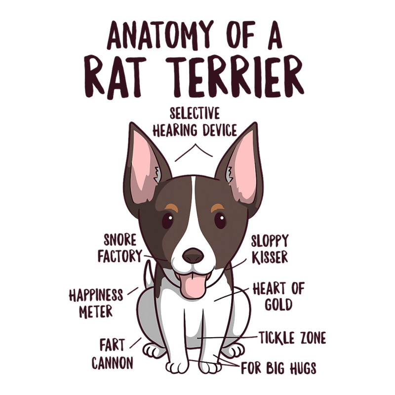 Anatomy Of A Rat Terrier Dog Owner Puppy Funny Cut V-Neck Tee by ELIZABETHBUELNA | Artistshot