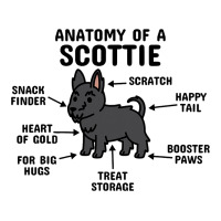 Anatomy Of A Scottish Terrier Dog 3 Women's V-neck T-shirt | Artistshot