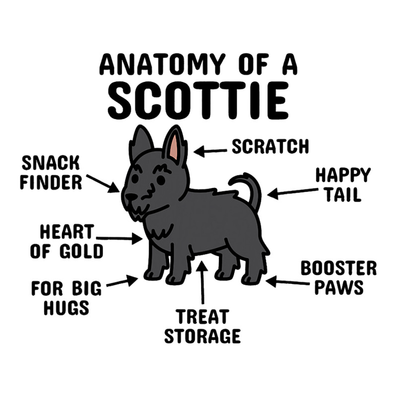 Anatomy Of A Scottish Terrier Dog 3 Women's V-Neck T-Shirt by FAWNDACRAMER | Artistshot