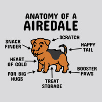 Anatomy Of An Airedale Terrier Dog 3 Women's Triblend Scoop T-shirt | Artistshot