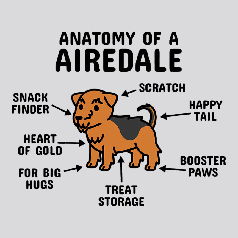 Anatomy Of An Airedale Terrier Dog 3 Women's Triblend Scoop T-shirt by SHAWNTANEICEWOODARD | Artistshot