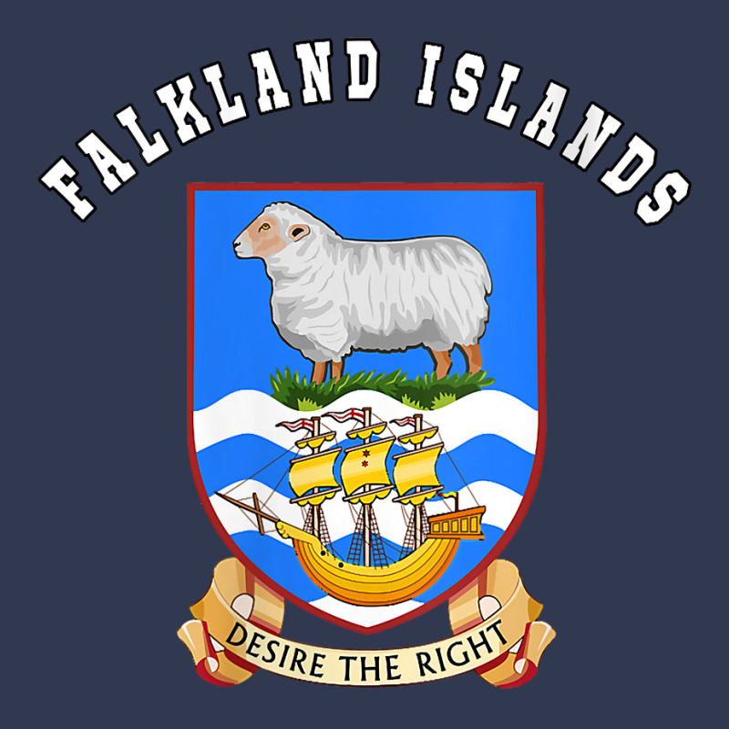 Womens Falkland Islands T Shirt Coat Of Arms Tee Flag Souvenir V Neck Basic Youth T-shirt by malyahdepetris | Artistshot