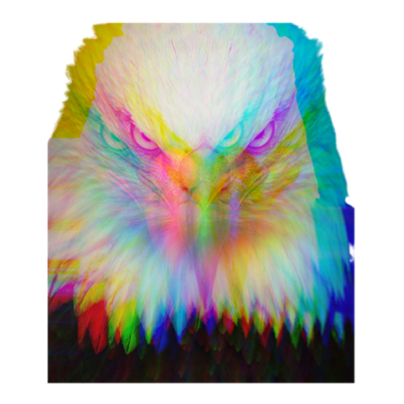 Hypnotic Eagle Portrait Wild Raglan Crop Top by JimenaBauer | Artistshot