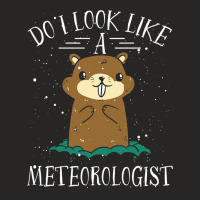 Do I Look Like A Meteorologist Design For Meteorol Ladies Fitted T-shirt | Artistshot