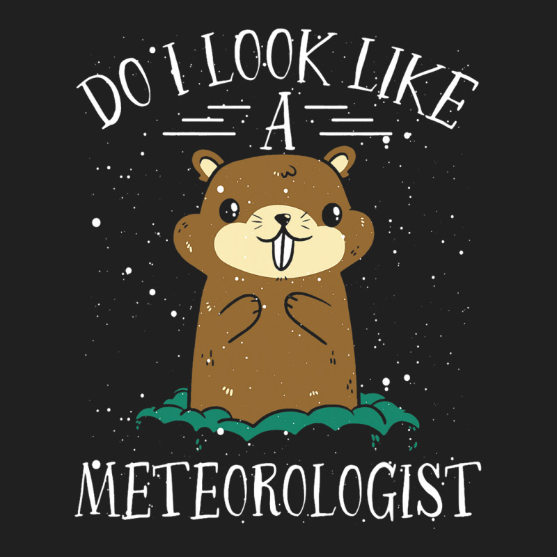 Do I Look Like A Meteorologist Design For Meteorol Ladies Polo Shirt by MasynPaulin | Artistshot