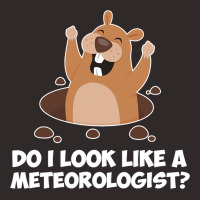 Do I Look Like A Meteorologist Funny Groundhog Day Racerback Tank | Artistshot