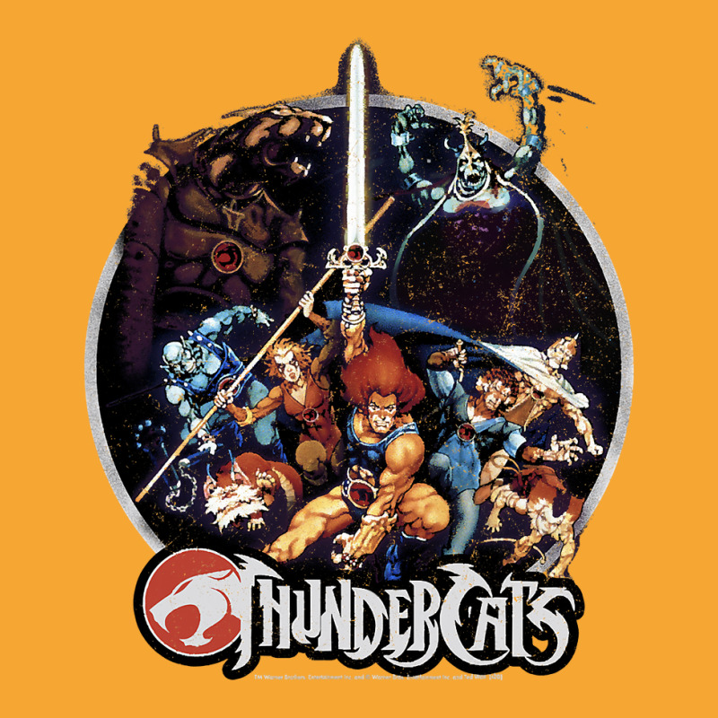 Thundercats Group Shot Vintage Circle T Shirt Basic T-shirt by Binhthai9809 | Artistshot