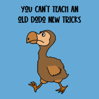 Dodo T  Shirt You Can't Teach An Old Dodo New Tricks Satire T  Shirt Basic Youth T-shirt | Artistshot