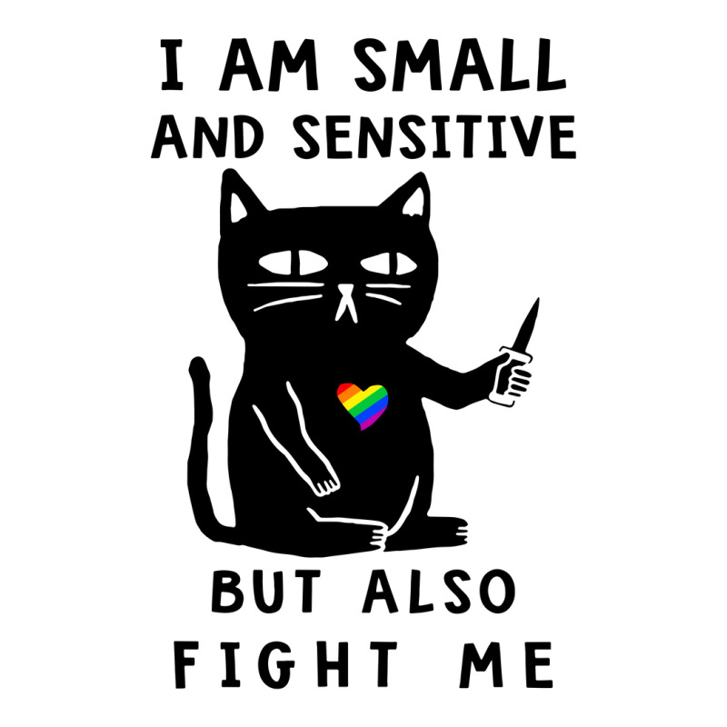 Lgbt Cat I Am Small And Sensitive But Also Fight Me Pride Raglan Crop Top by coolquirrell | Artistshot