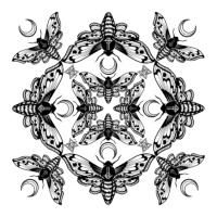 Ghost Cirice Moth Kaleidoscope Raglan Crop Top | Artistshot