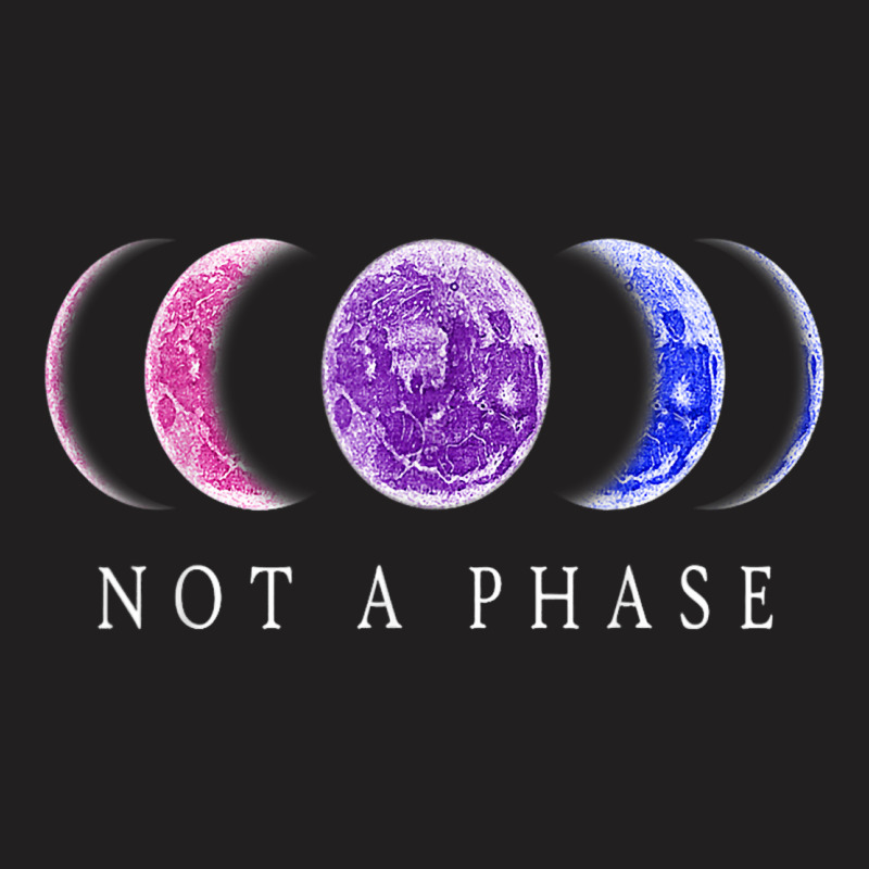 Bi Pride Not A Phase Bisexual Pride Moon 1 T-shirt | Artistshot