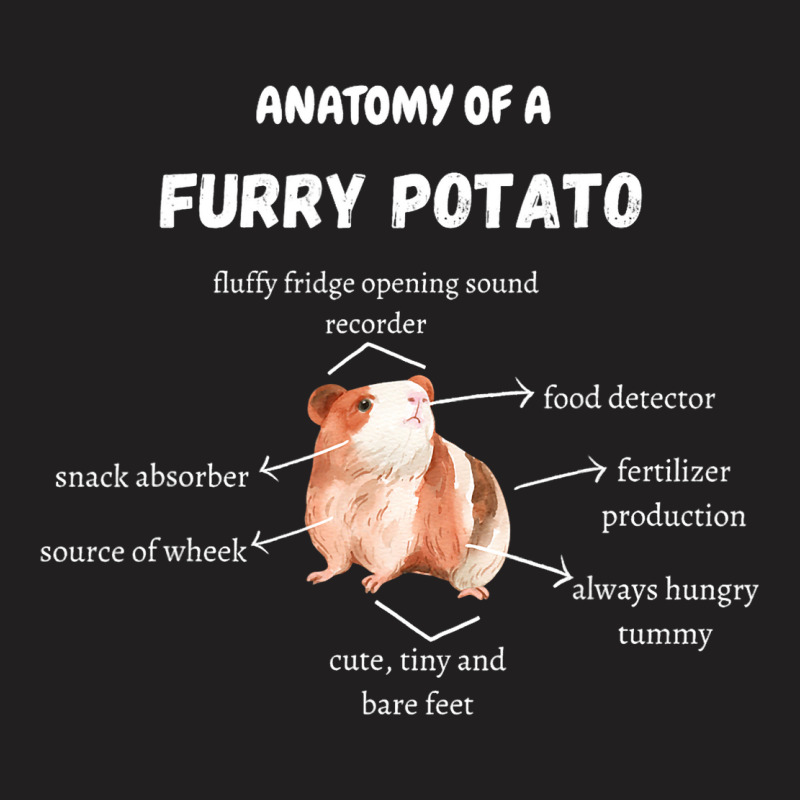 Anatomy Of A Furry Potato Guinea Pig Lover Funny P T-shirt | Artistshot