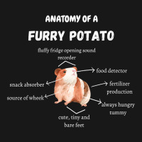 Anatomy Of A Furry Potato Guinea Pig Lover Funny P Flannel Shirt | Artistshot