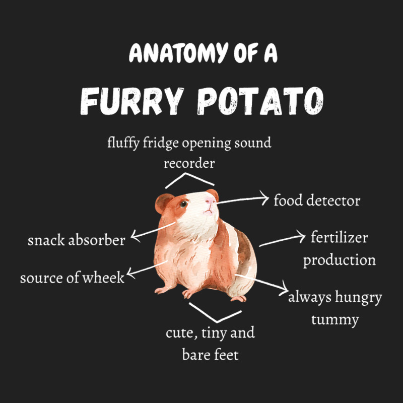 Anatomy Of A Furry Potato Guinea Pig Lover Funny P Basic T-shirt | Artistshot