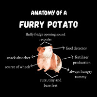 Anatomy Of A Furry Potato Guinea Pig Lover Funny P V-neck Tee | Artistshot