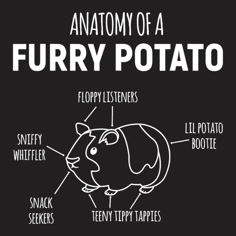 Anatomy Of A Furry Potato Guinea Pig Lover22 T-shirt | Artistshot