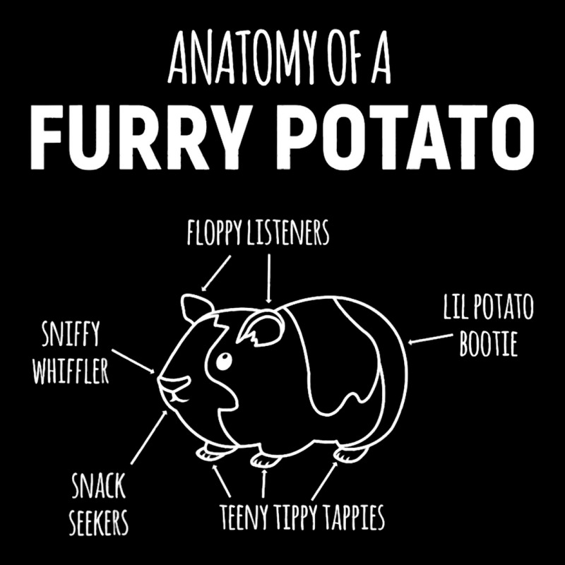 Anatomy Of A Furry Potato Guinea Pig Lover22 Long Sleeve Shirts | Artistshot