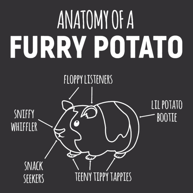 Anatomy Of A Furry Potato Guinea Pig Lover22 Vintage Hoodie | Artistshot