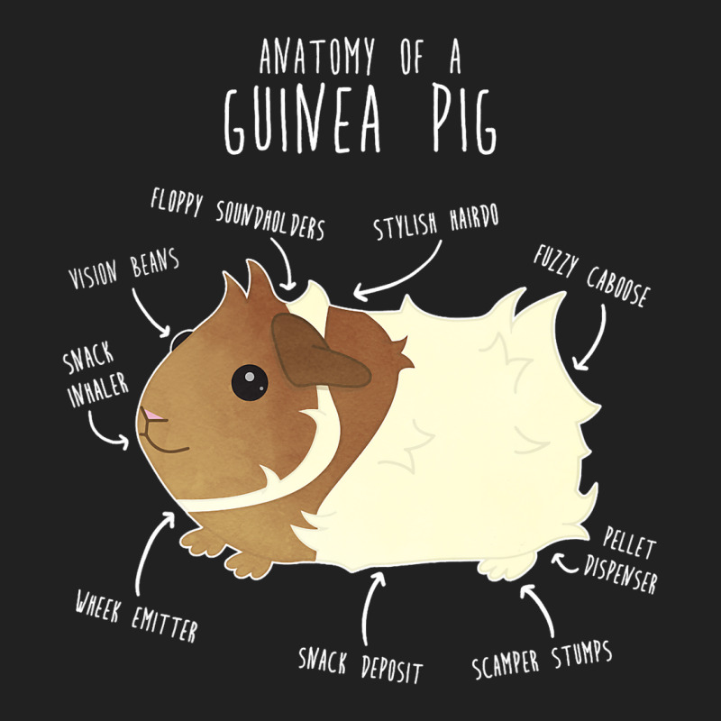 Abyssinian Guinea Pig Anatomy Funny Cute Pocket Pe Basic T-shirt | Artistshot