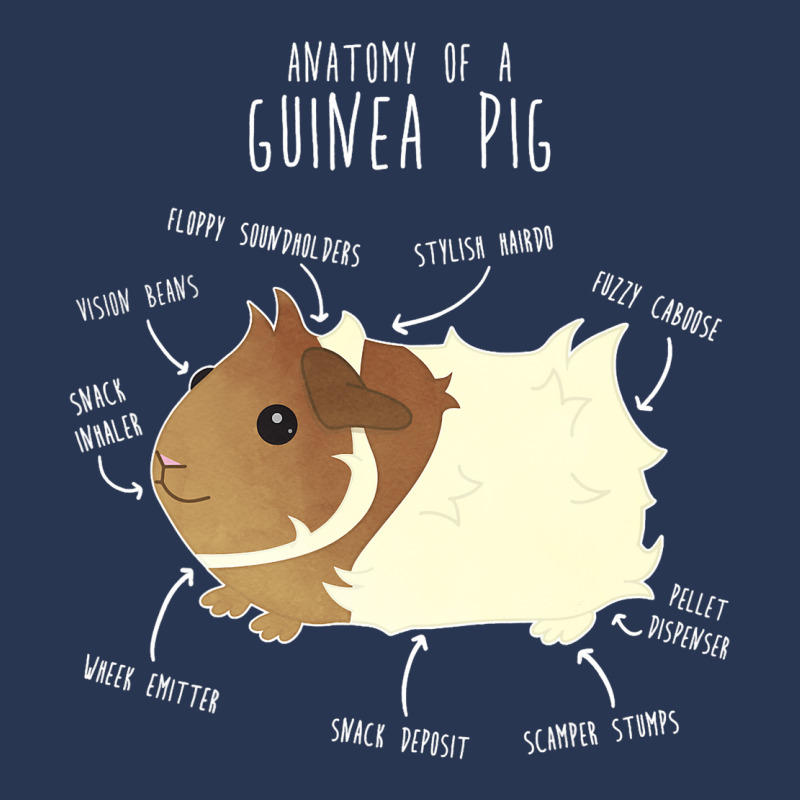 Abyssinian Guinea Pig Anatomy Funny Cute Pocket Pe Men Denim Jacket | Artistshot