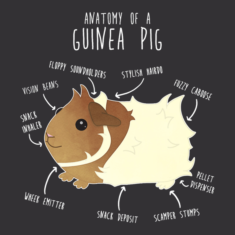 Abyssinian Guinea Pig Anatomy Funny Cute Pocket Pe Vintage Hoodie | Artistshot