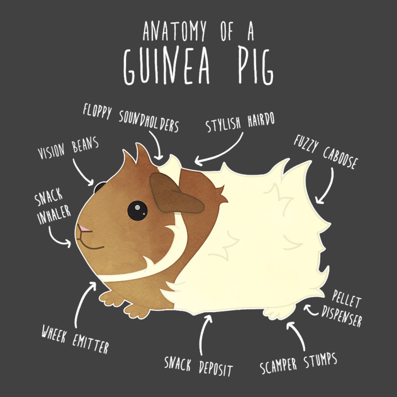 Abyssinian Guinea Pig Anatomy Funny Cute Pocket Pe Vintage T-shirt | Artistshot