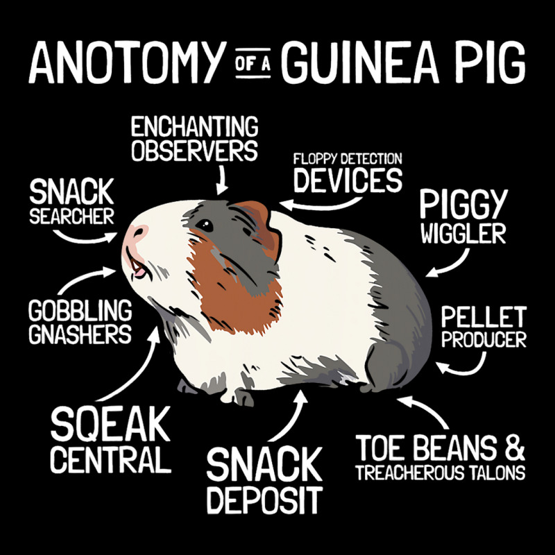 Anatomy Of A Guinea Pig 2 Men's Long Sleeve Pajama Set | Artistshot