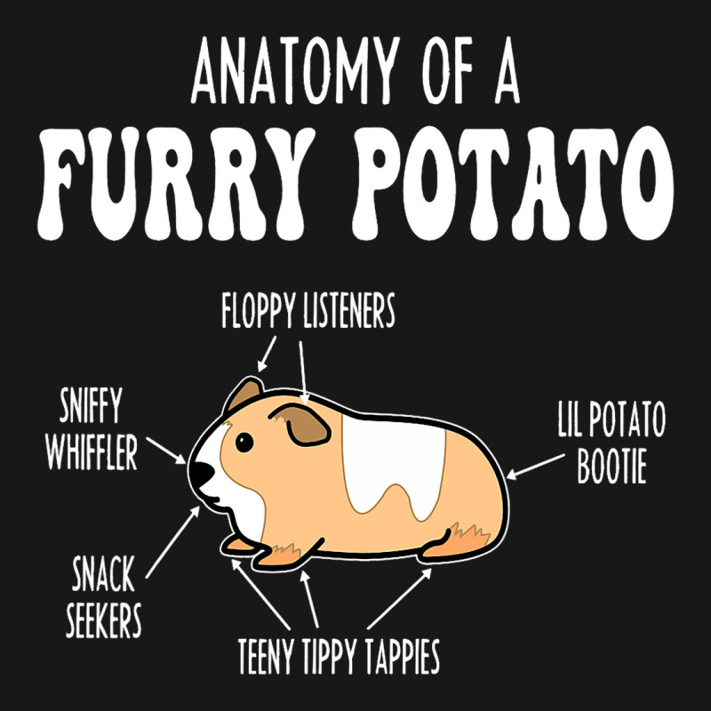 Anatomy Of A Guinea Pig Funny Design For Guinea Pi Flannel Shirt | Artistshot