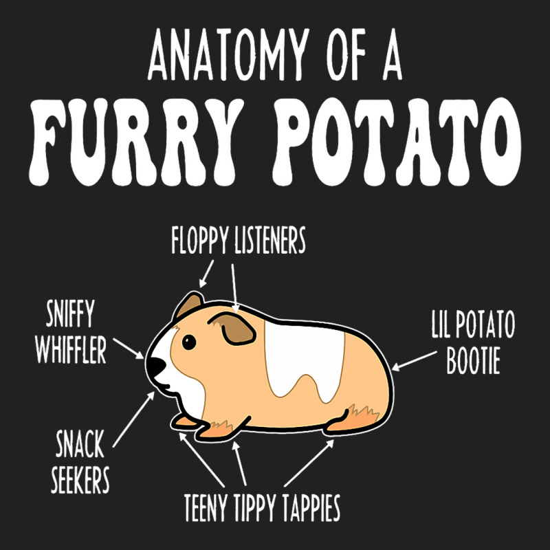 Anatomy Of A Guinea Pig Funny Design For Guinea Pi Basic T-shirt | Artistshot