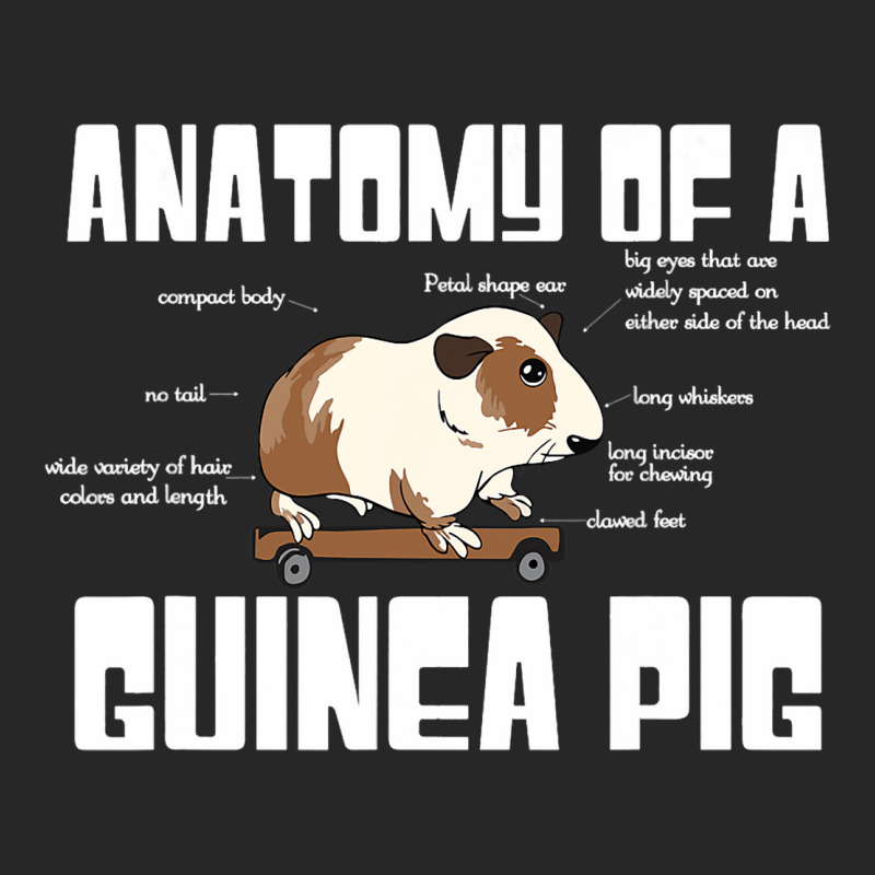 Anatomy Of A Guinea Pig Lover Funny Rodent Pet Ani Men's T-shirt Pajama Set | Artistshot