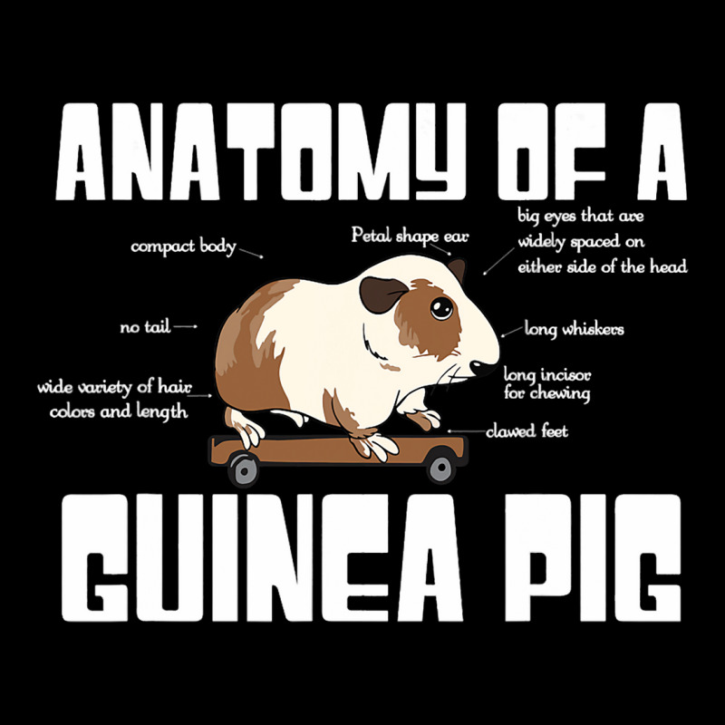 Anatomy Of A Guinea Pig Lover Funny Rodent Pet Ani Men's Long Sleeve Pajama Set | Artistshot